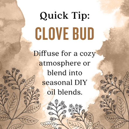 Aura Cacia Clove Bud Essential Oil, 0.5 fl oz