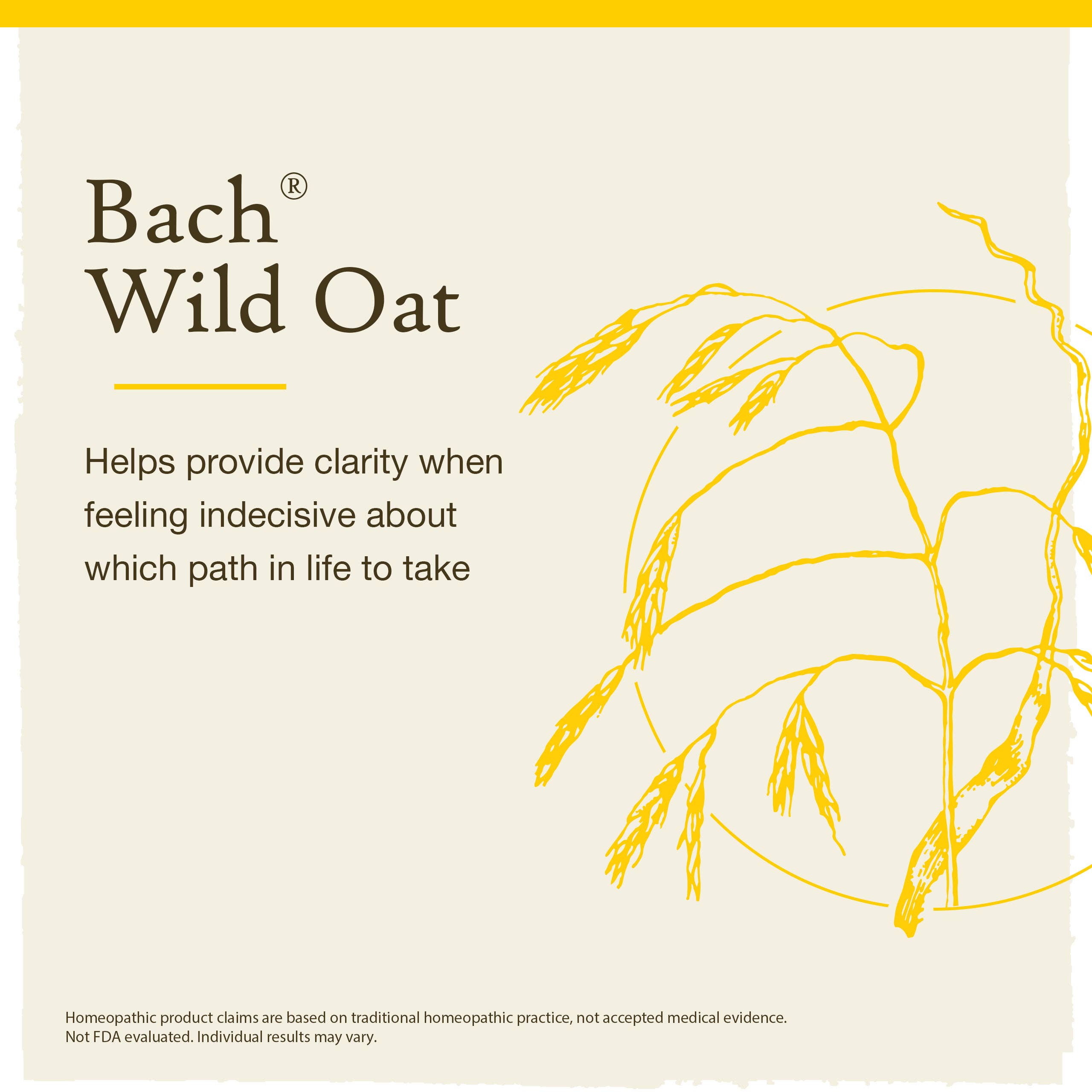 Bach Original Flower Remedies, Wild Oat, Decide Your Path 0.7 fl. oz. (20 ml).