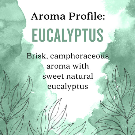 Aura Cacia Eucalyptus Essential Oil, 0.5 fl oz