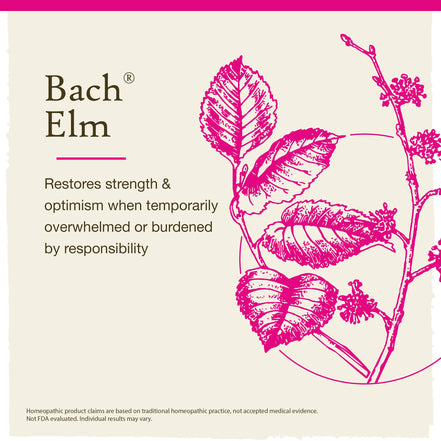 Bach Original Flower Remedies Elm 0.7 fl. oz. (20mL)