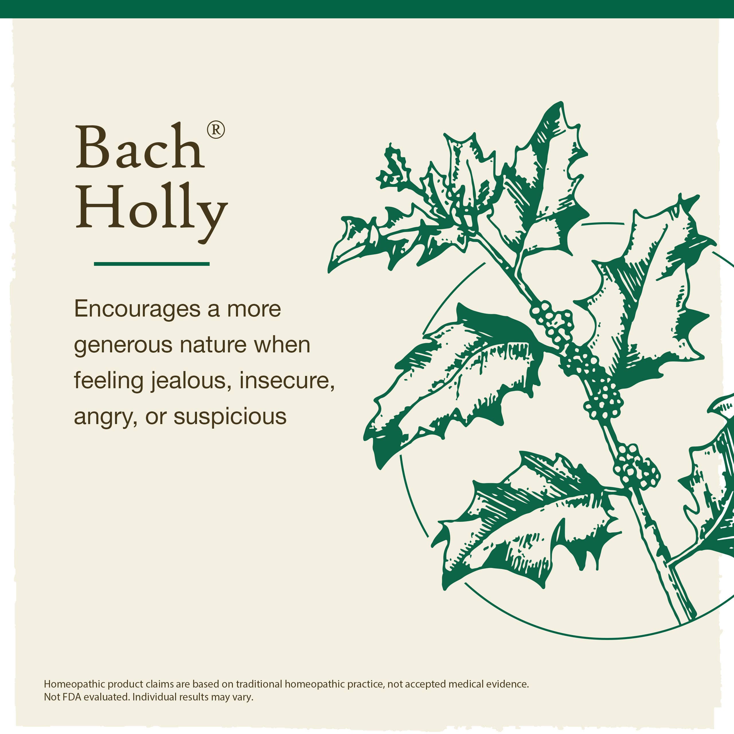 Bach Original Flower Remedies Holly 0.7 fl. oz. (20mL)