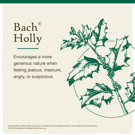 Bach Original Flower Remedies Holly 0.7 fl. oz. (20mL)