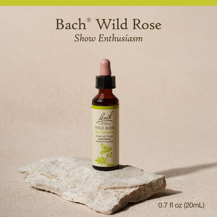 Bach Original Flower Remedies, Wild Rose, Show Enthusiasm 0.7 fl. oz. (20 ml)