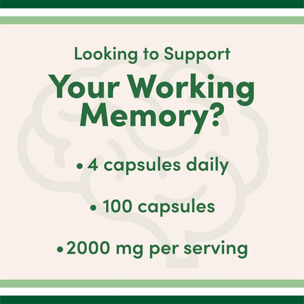 Magnesium L-Threonate (Magtein)