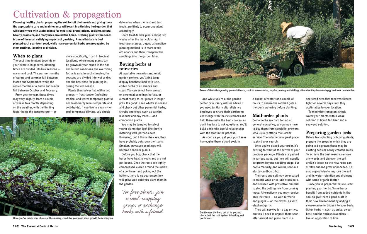 Reader's Digest The Essential Book of Herbs