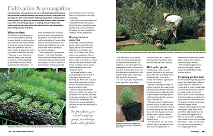 Reader's Digest The Essential Book of Herbs