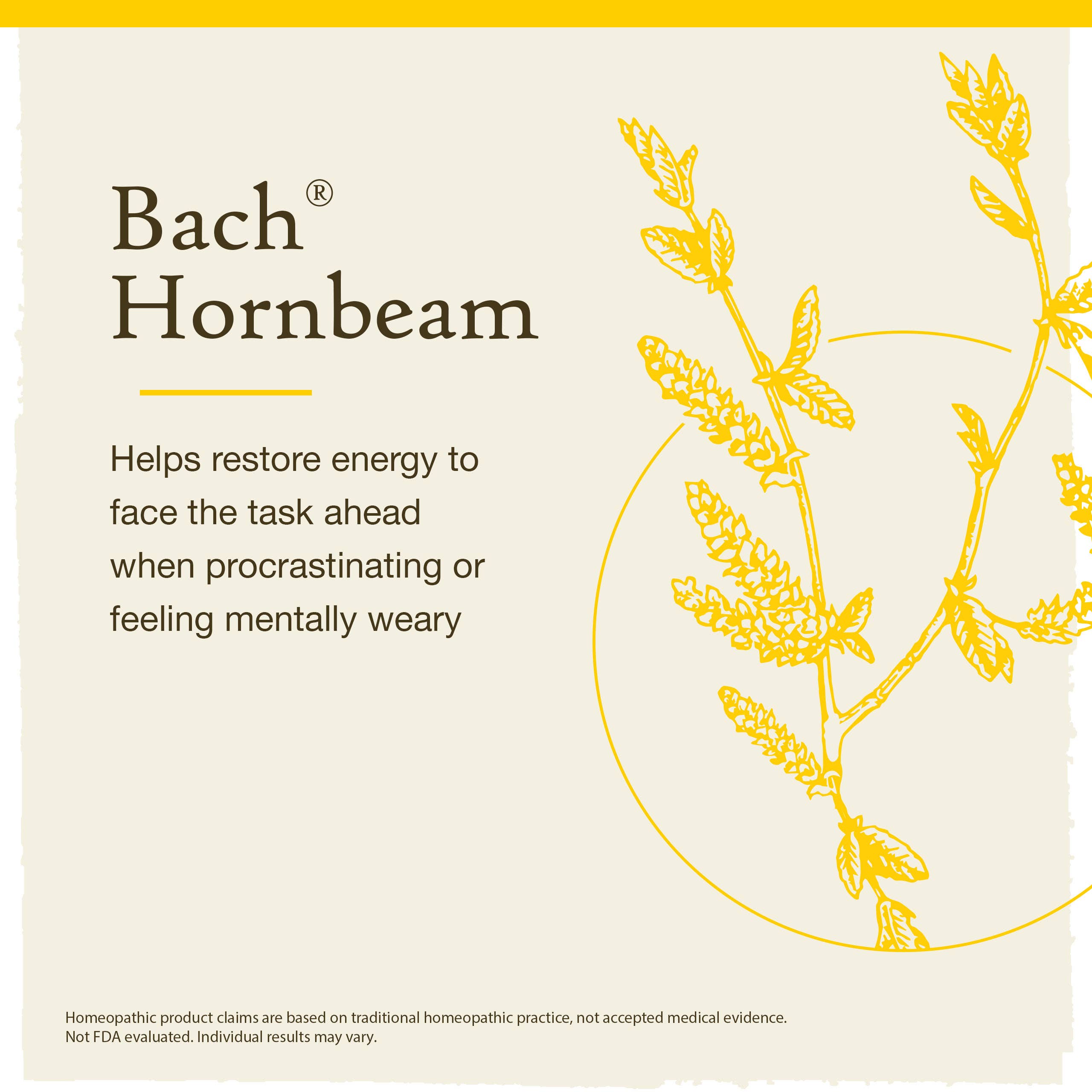 Bach Original Flower Remedies Hornbeam 0.7 fl. oz. (20mL)