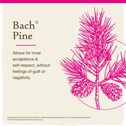 Bach Original Flower Remedies Pine 0.7 fl. oz. (20mL)