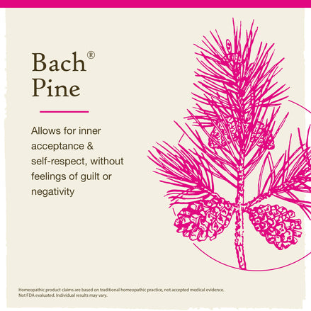 Bach Original Flower Remedies Pine 0.7 fl. oz. (20mL)