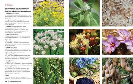 Reader's Digest The Essential Book of Herbs