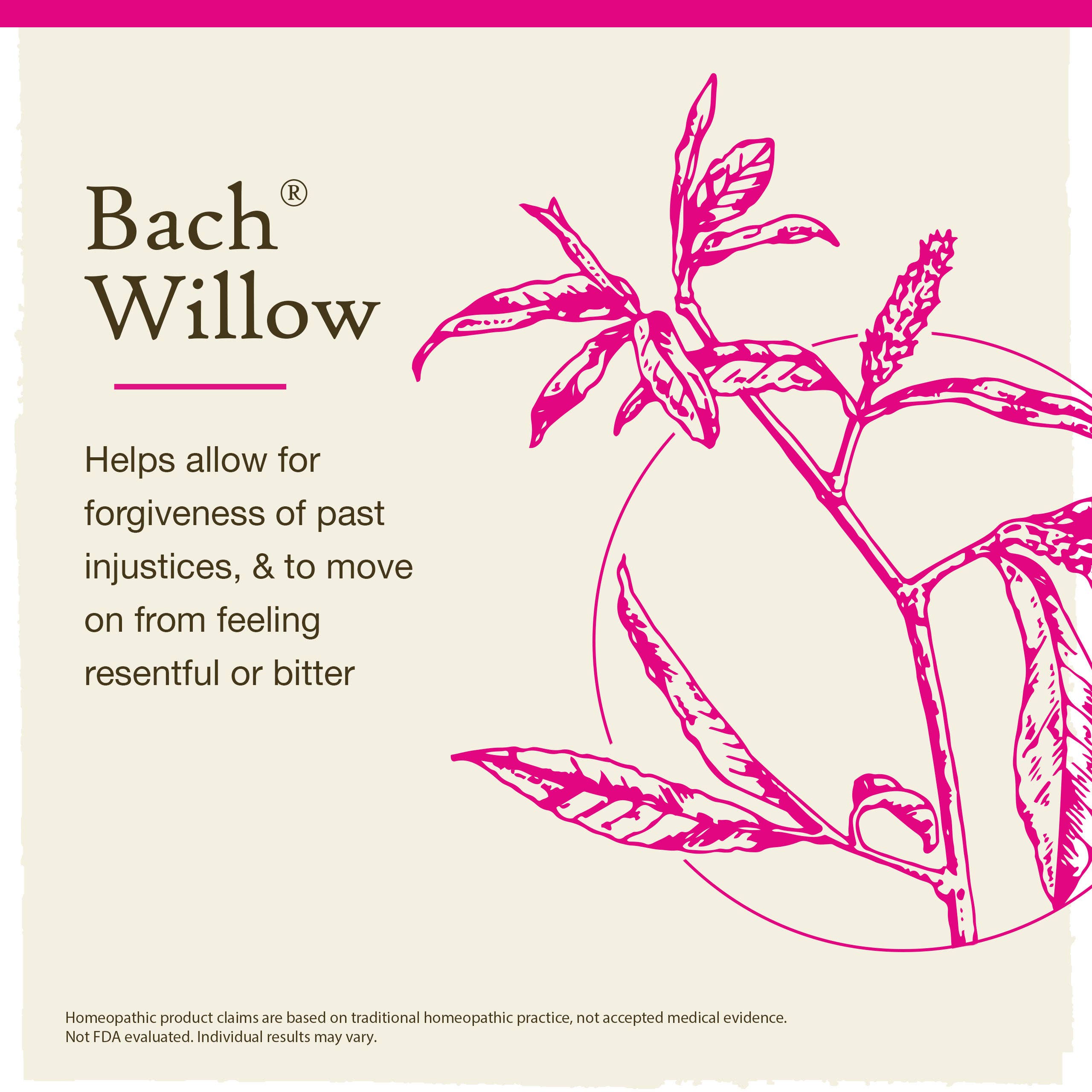 Bach Original Flower Remedies, Willow, Forgive & Forget 0.7 fl. oz. (20 ml).