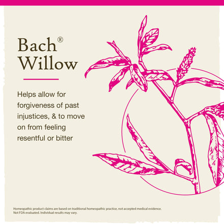 Bach Original Flower Remedies, Willow, Forgive &amp; Forget 0.7 fl. oz. (20 ml).