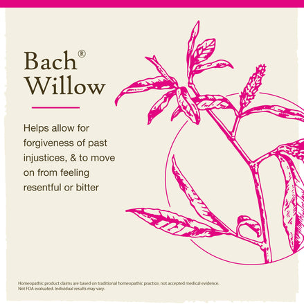 Bach Original Flower Remedies, Willow, Forgive &amp; Forget 0.7 fl. oz. (20 ml).