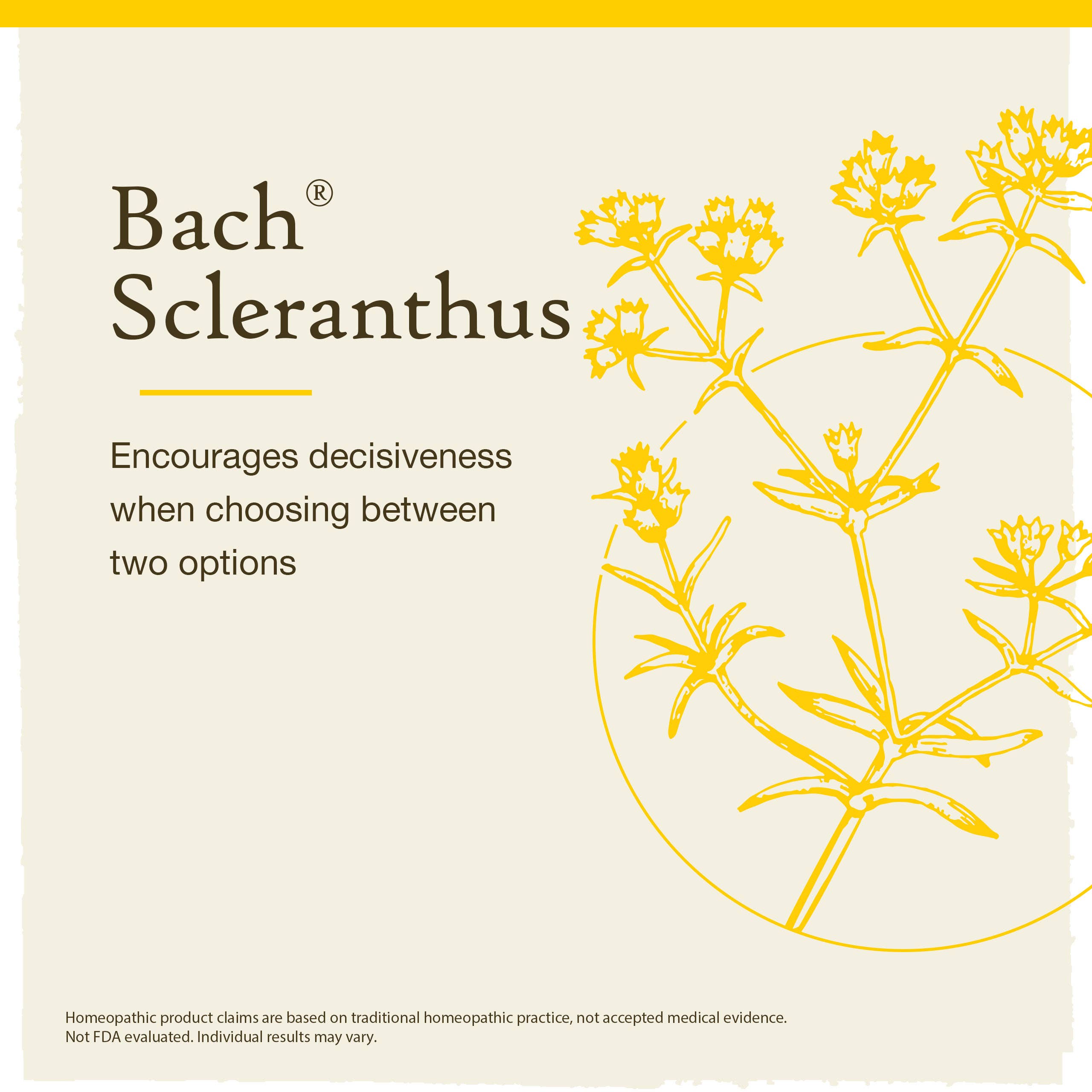 Bach Original Flower Remedies Scleranthus 0.7 fl. oz. (20mL)