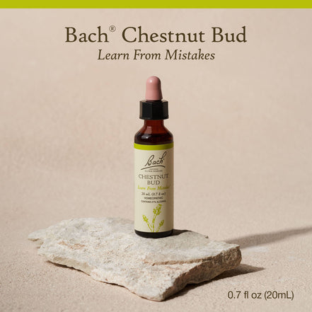 Bach Flower Remedies Chestnut Bud Oral Supplement