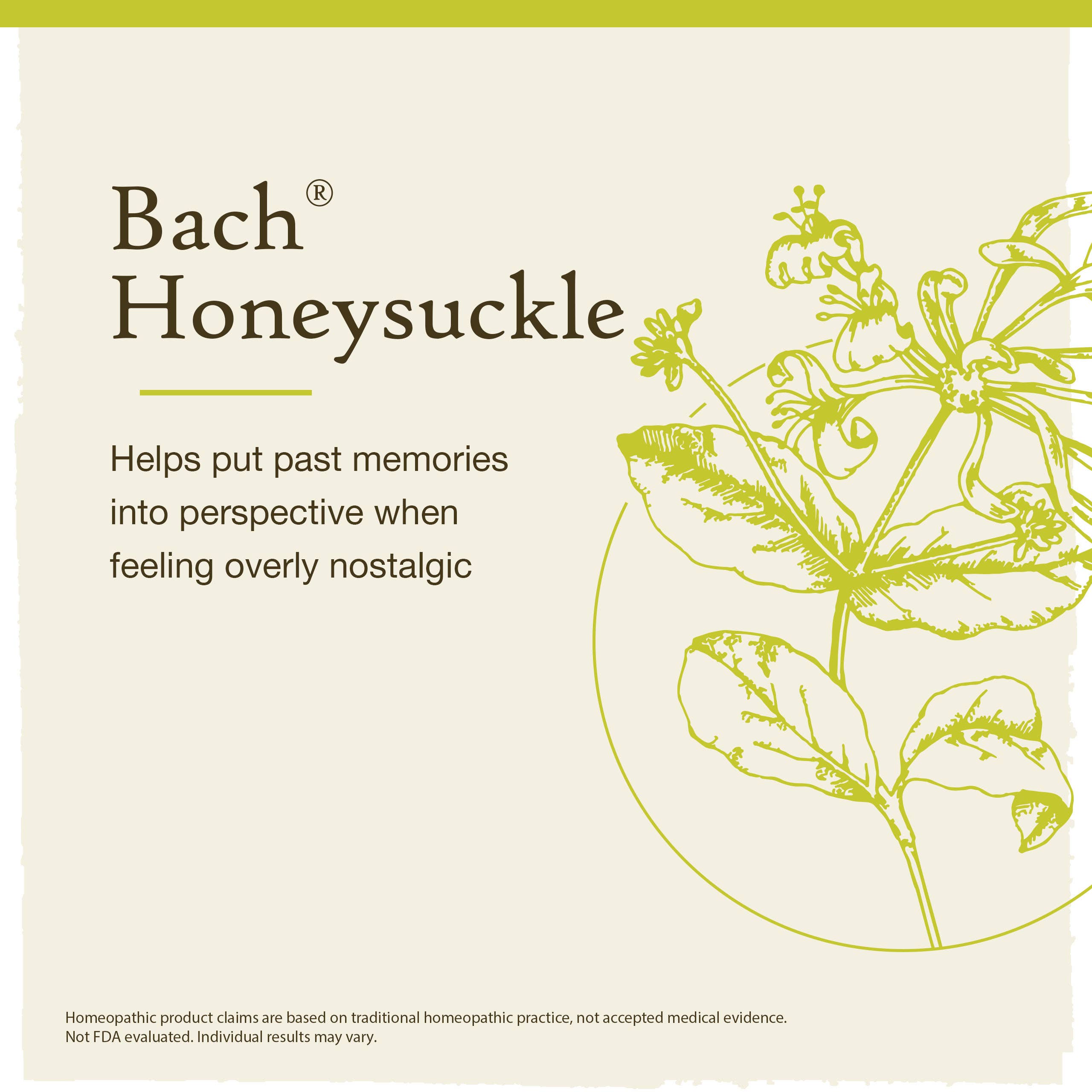 Bach Original Flower Remedies Honeysuckle 0.7 fl. oz (20mL)