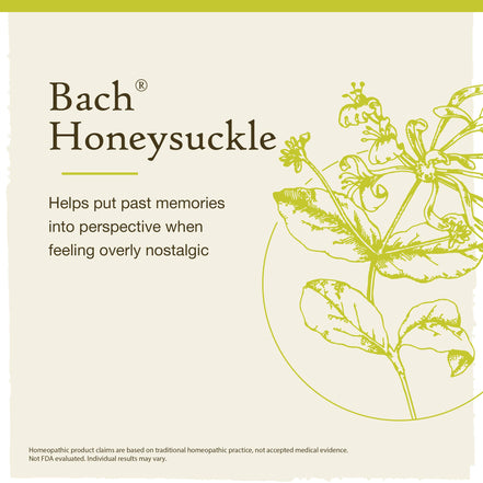 Bach Original Flower Remedies Honeysuckle 0.7 fl. oz (20mL)
