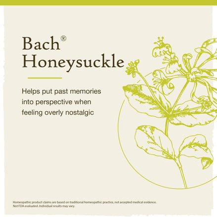 Bach Original Flower Remedies Honeysuckle 0.7 fl. oz (20mL)