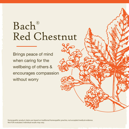 Bach Original Flower Remedies Red Chestnut 0.7 fl. oz.
