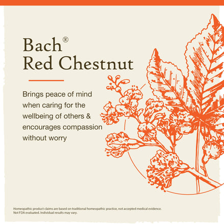 Bach Original Flower Remedies Red Chestnut 0.7 fl. oz.