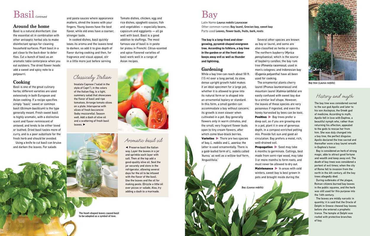 Reader's Digest The Essential Book of Herbs