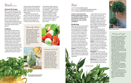 Reader's Digest The Essential Book of Herbs