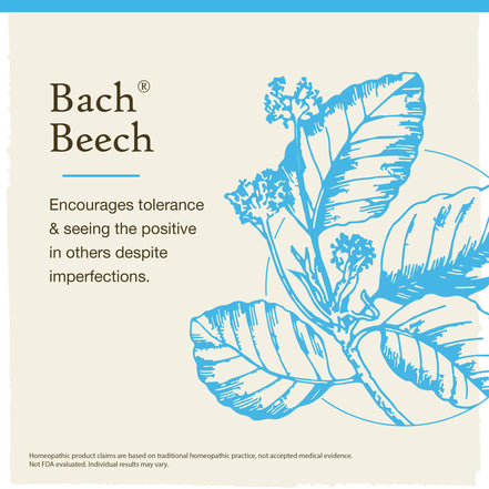 Bach Original Flower Remedies Beech 0.7 fl. oz. (20mL)