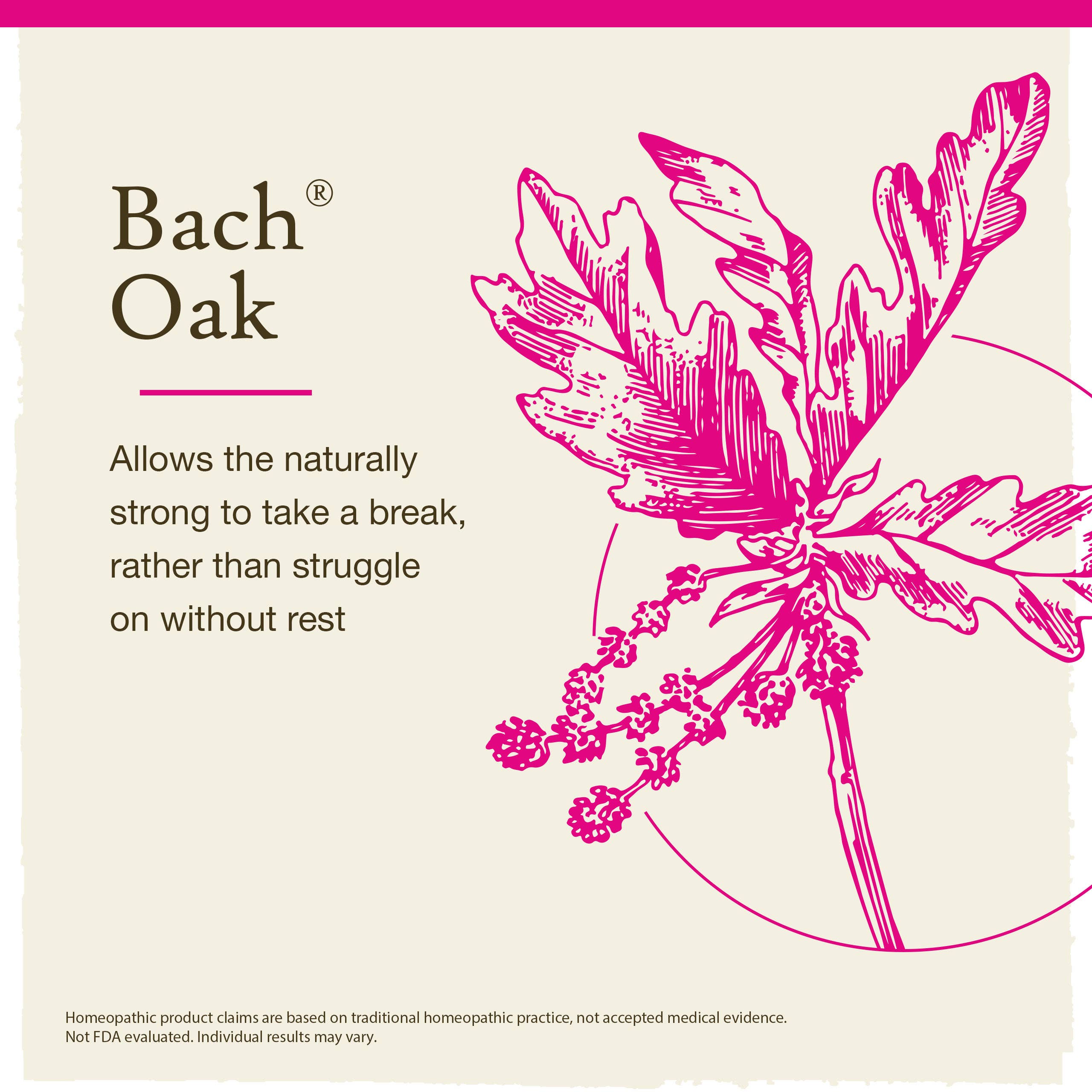 Bach Original Flower Remedies Oak 0.7 fl. oz. (20mL)