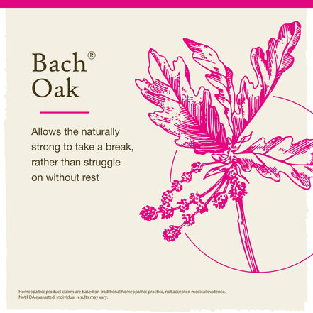 Bach Original Flower Remedies Oak 0.7 fl. oz. (20mL)