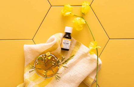 Aura Cacia Blue Tansy Essential Oil in Jojoba Oil, 0.5 fl oz