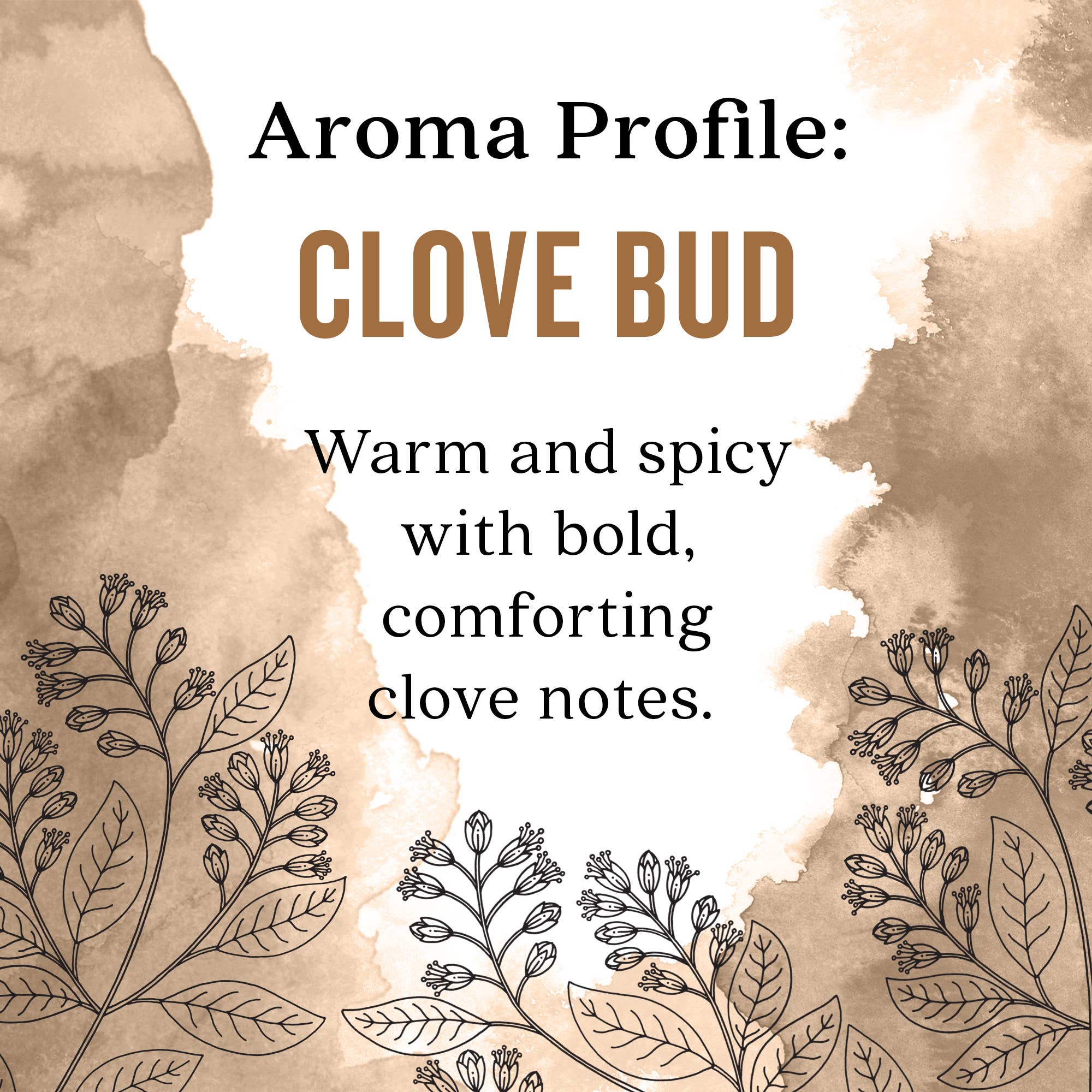 Aura Cacia Clove Bud Essential Oil, 0.5 fl oz