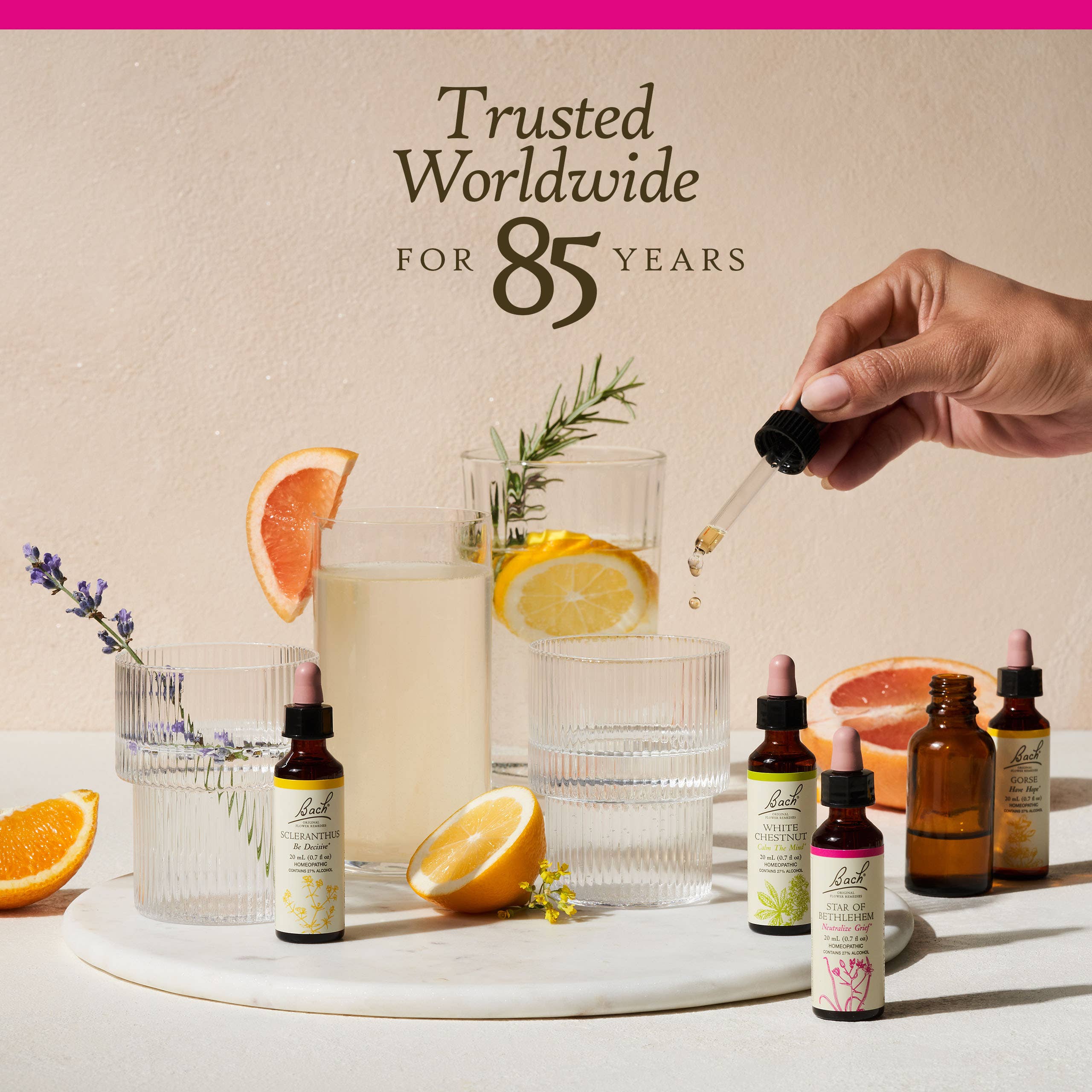 Bach Original Flower Remedies Oak 0.7 fl. oz. (20mL)