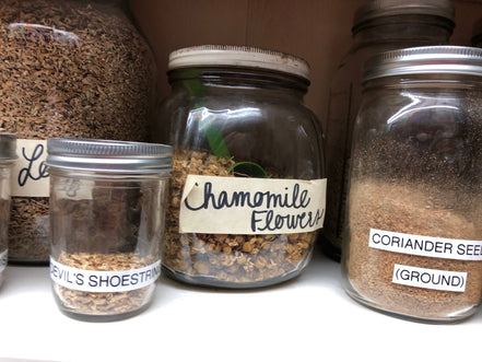 Devil's Shoestring Herb Packet - protection, gambling