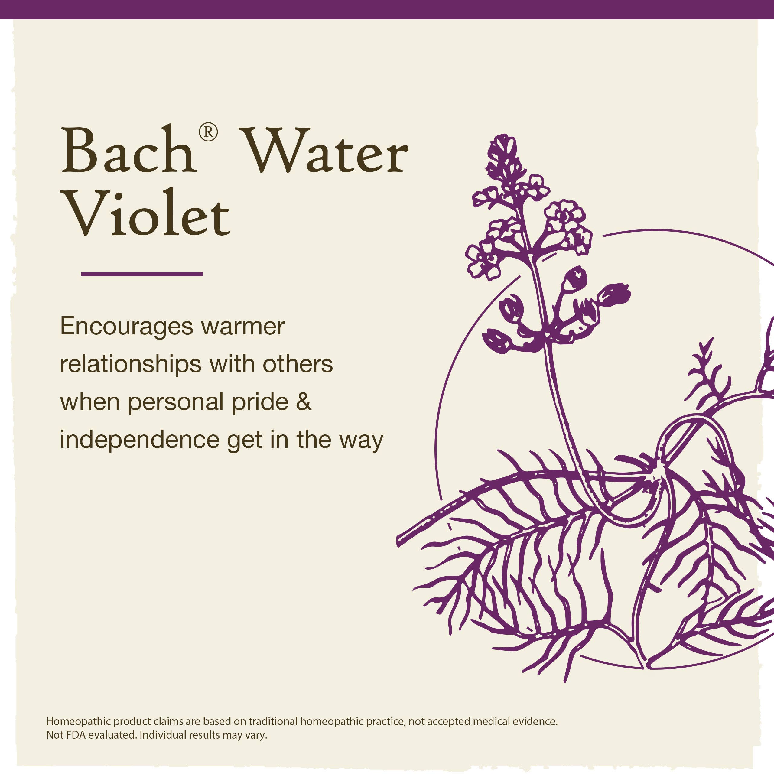 Bach Original Flower Remedies Water Violet 0.7 fl. oz.