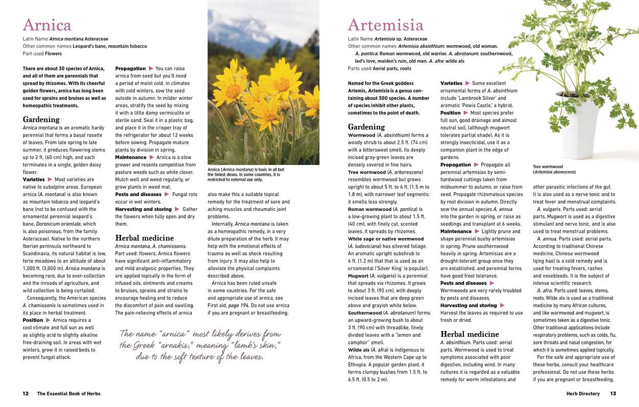 Reader's Digest The Essential Book of Herbs