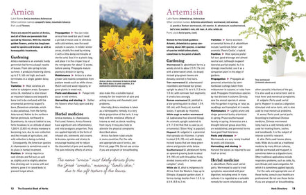 Reader's Digest The Essential Book of Herbs