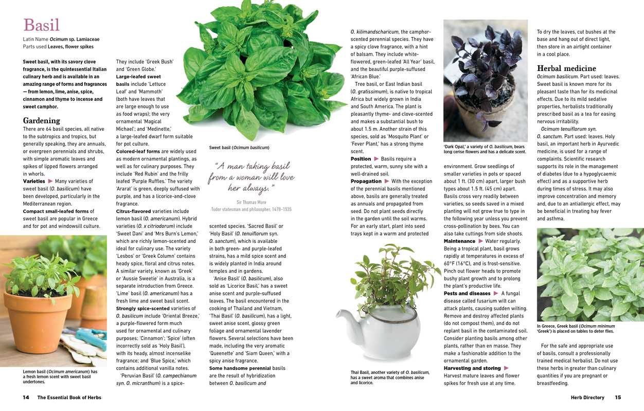 Reader's Digest The Essential Book of Herbs