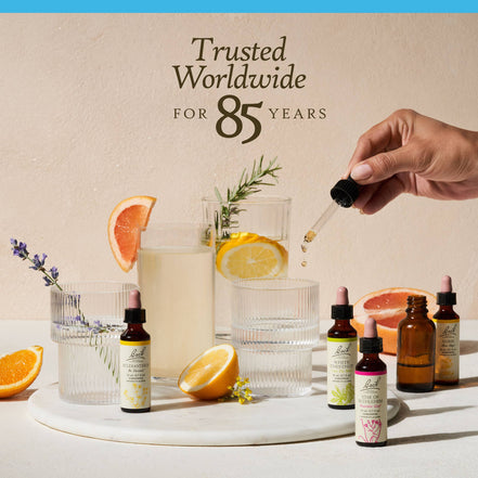 Bach Original Flower Remedies Chicory 0.7 fl. oz. (20mL)