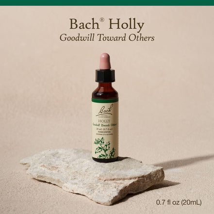 Bach Original Flower Remedies Holly 0.7 fl. oz. (20mL)