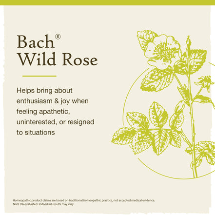 Bach Original Flower Remedies, Wild Rose, Show Enthusiasm 0.7 fl. oz. (20 ml)