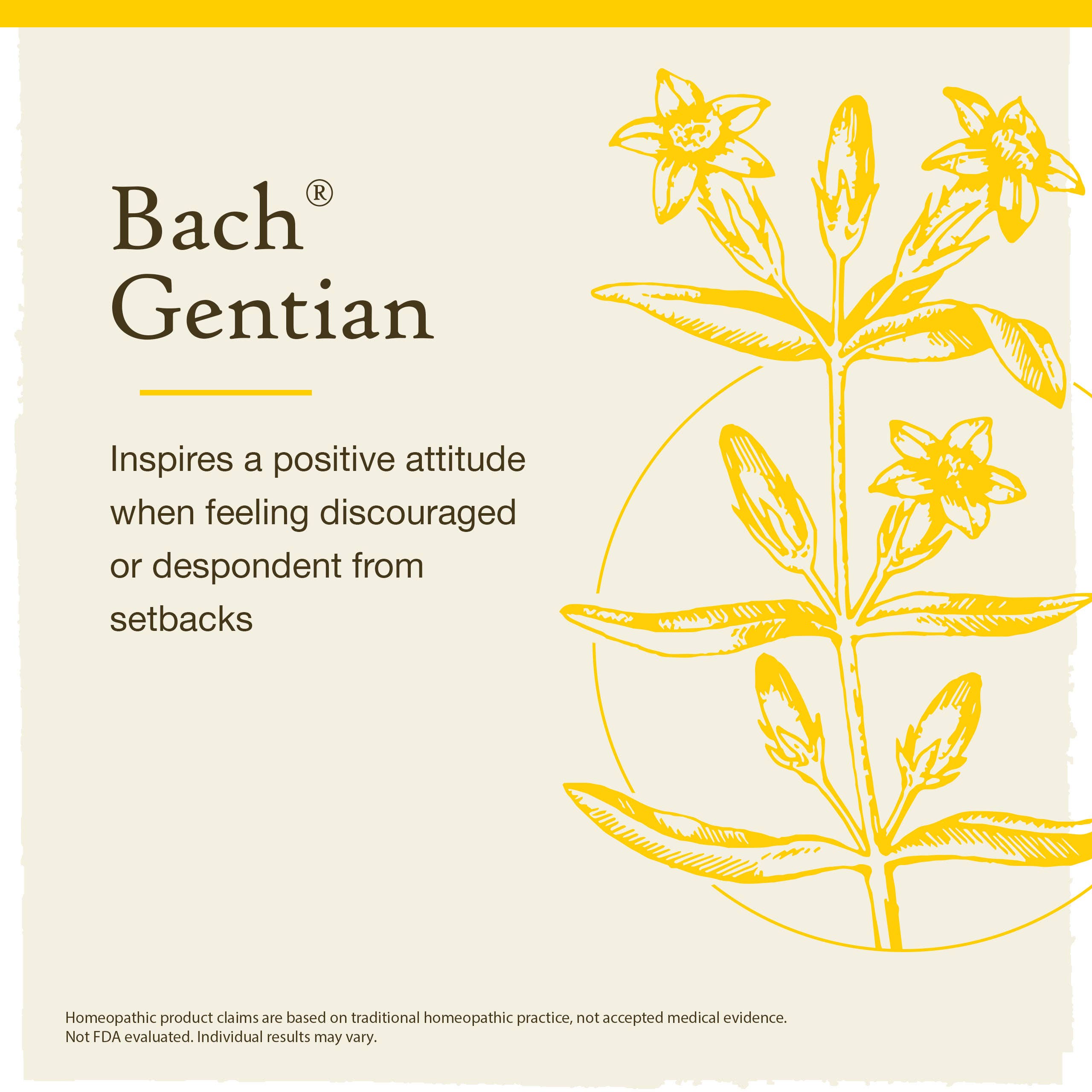 Bach Original Flower Remedies Gentian 0.7 fl. oz. (20mL)