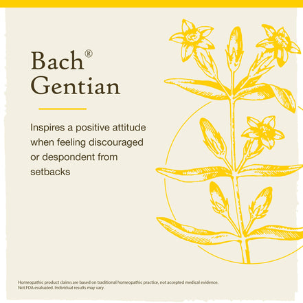 Bach Original Flower Remedies Gentian 0.7 fl. oz. (20mL)