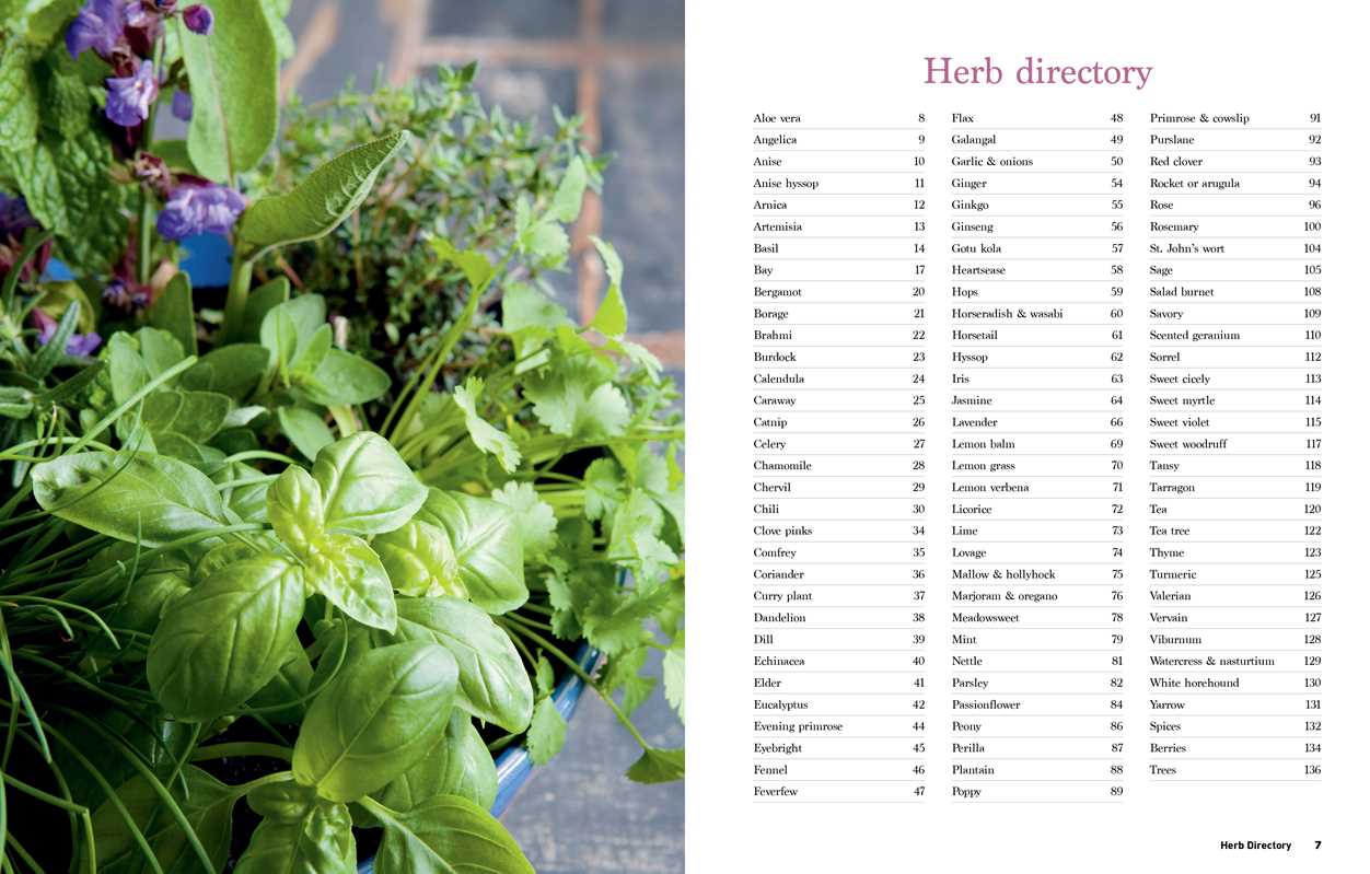 Reader's Digest The Essential Book of Herbs