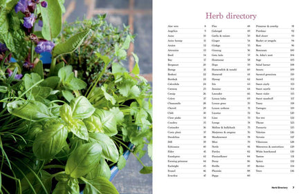 Reader's Digest The Essential Book of Herbs