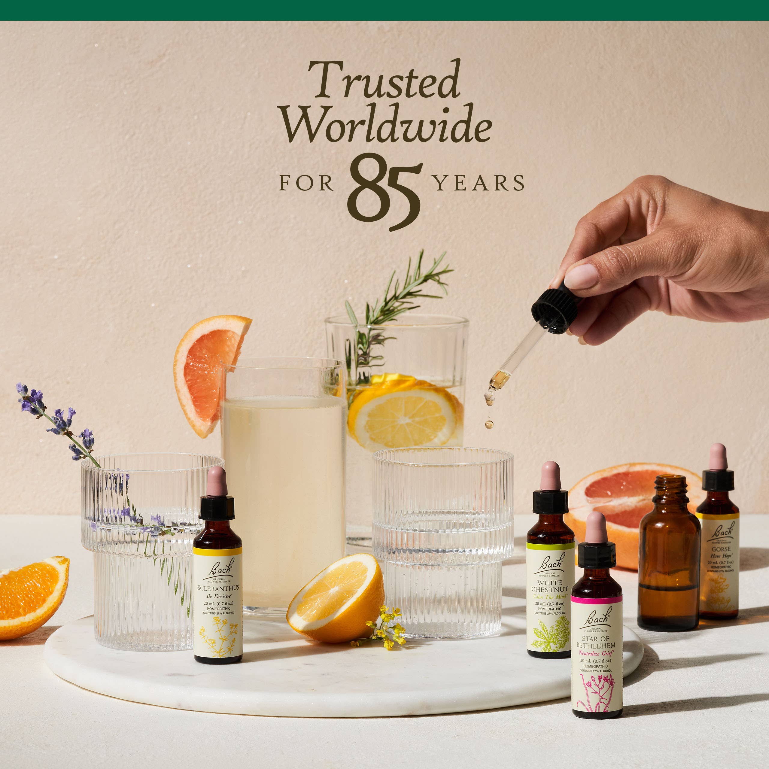 Bach Original Flower Remedies Holly 0.7 fl. oz. (20mL)