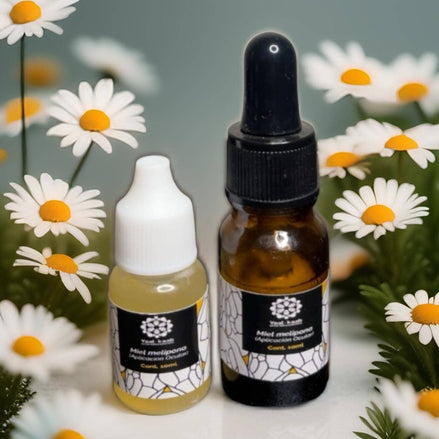 JIMERITO HONEY, MIEL MELIPONA DROPS, 10ML,100% PURE ORIGINAL