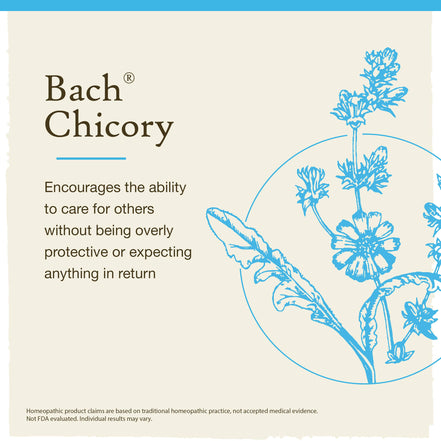 Bach Original Flower Remedies Chicory 0.7 fl. oz. (20mL)