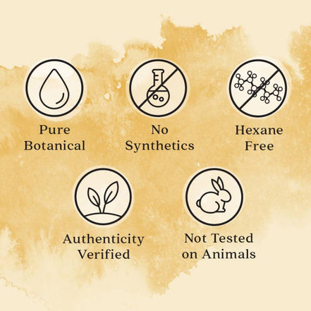 Aura Cacia Certified Organic Castor Oil, 16 fl oz