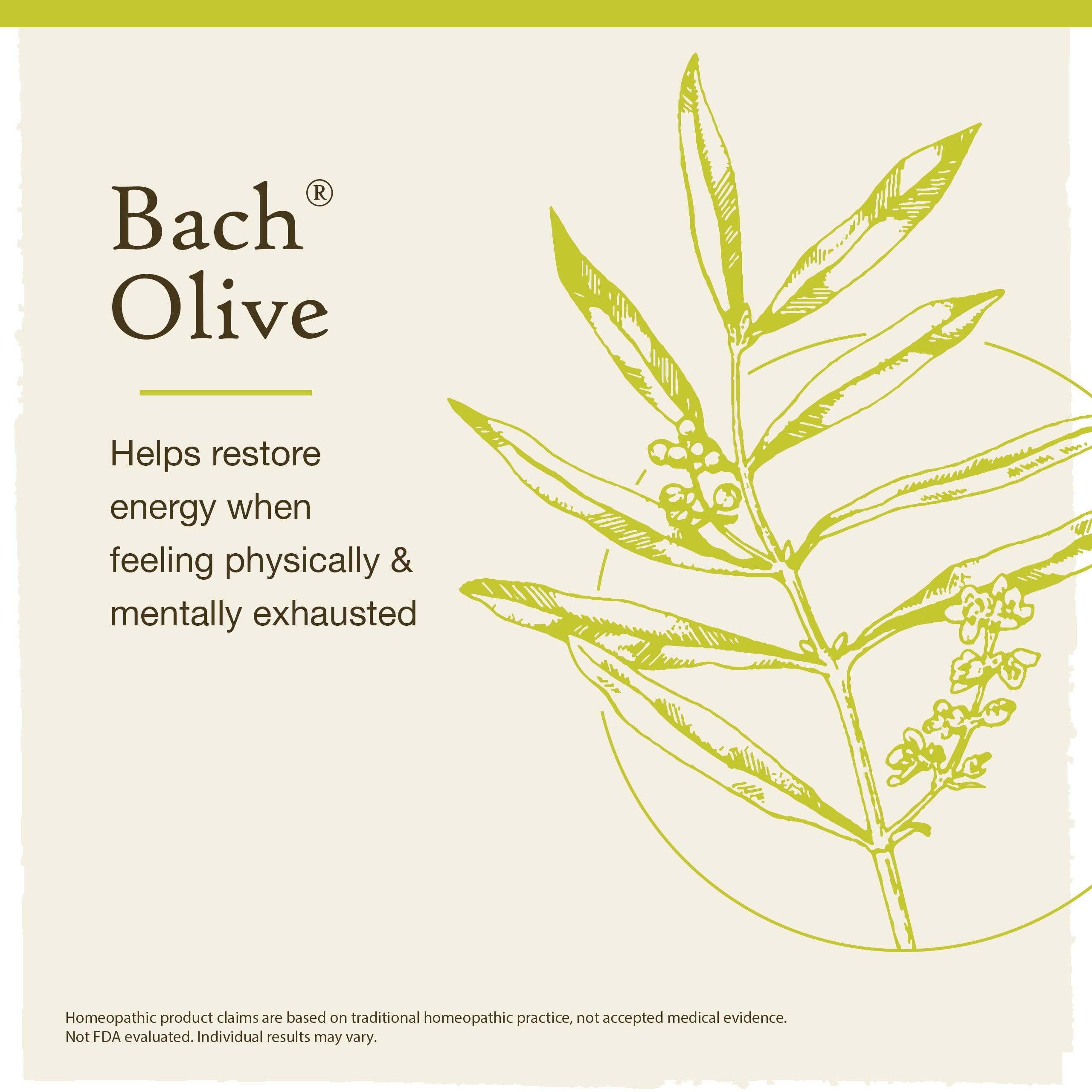 Bach Original Flower Remedies Olive 0.7 fl. oz. (20mL)