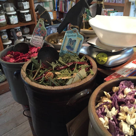 Devil's Shoestring Herb Packet - protection, gambling